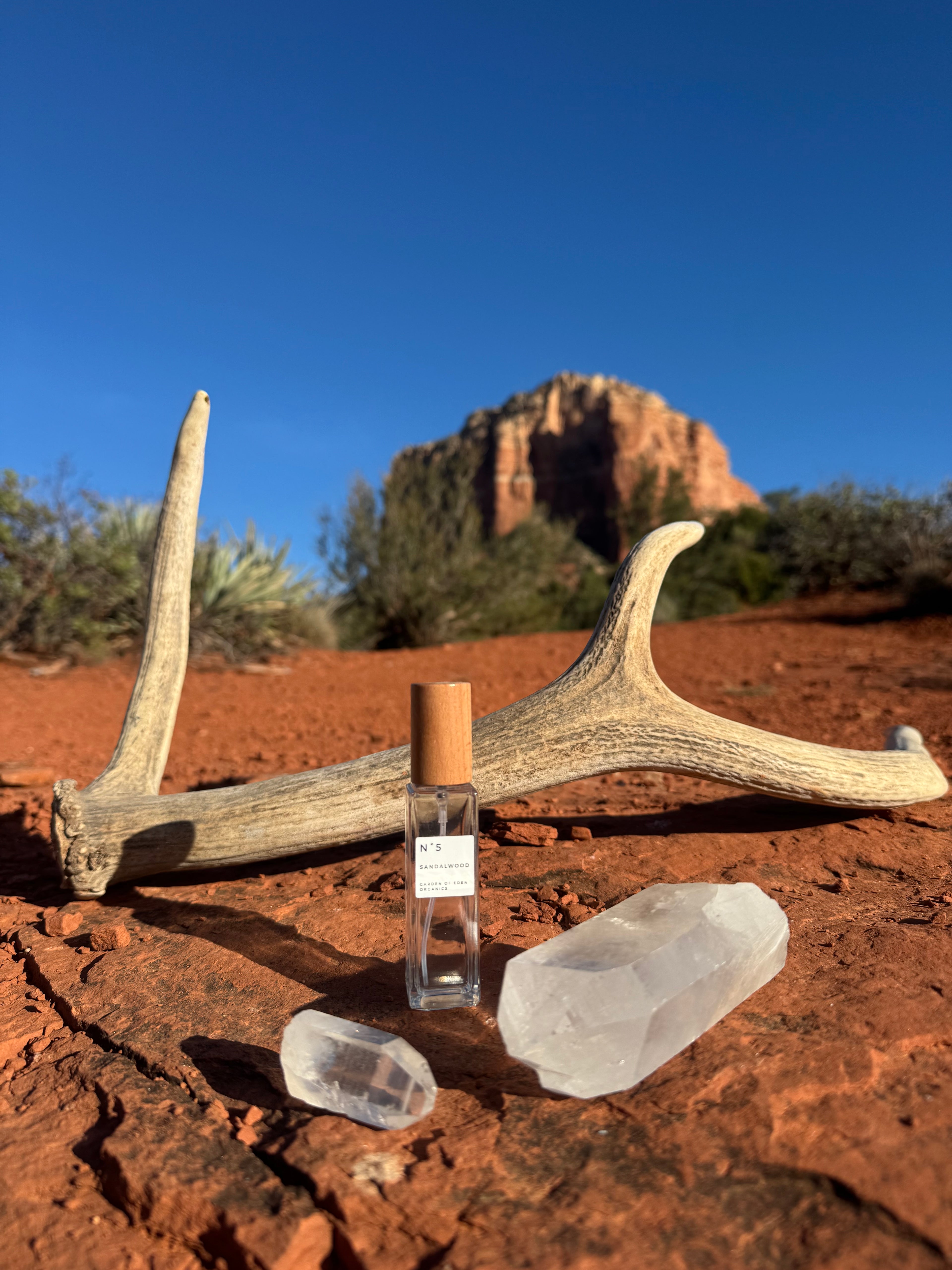 Plant-Based Extrait de Parfum