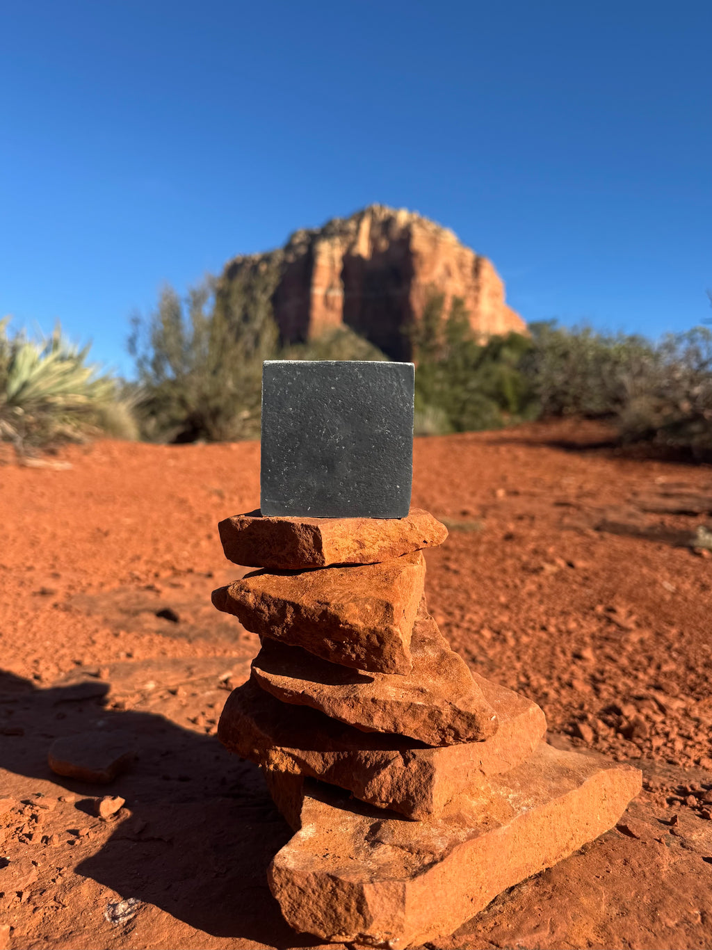 Charcoal Tea Tree Bar Soap