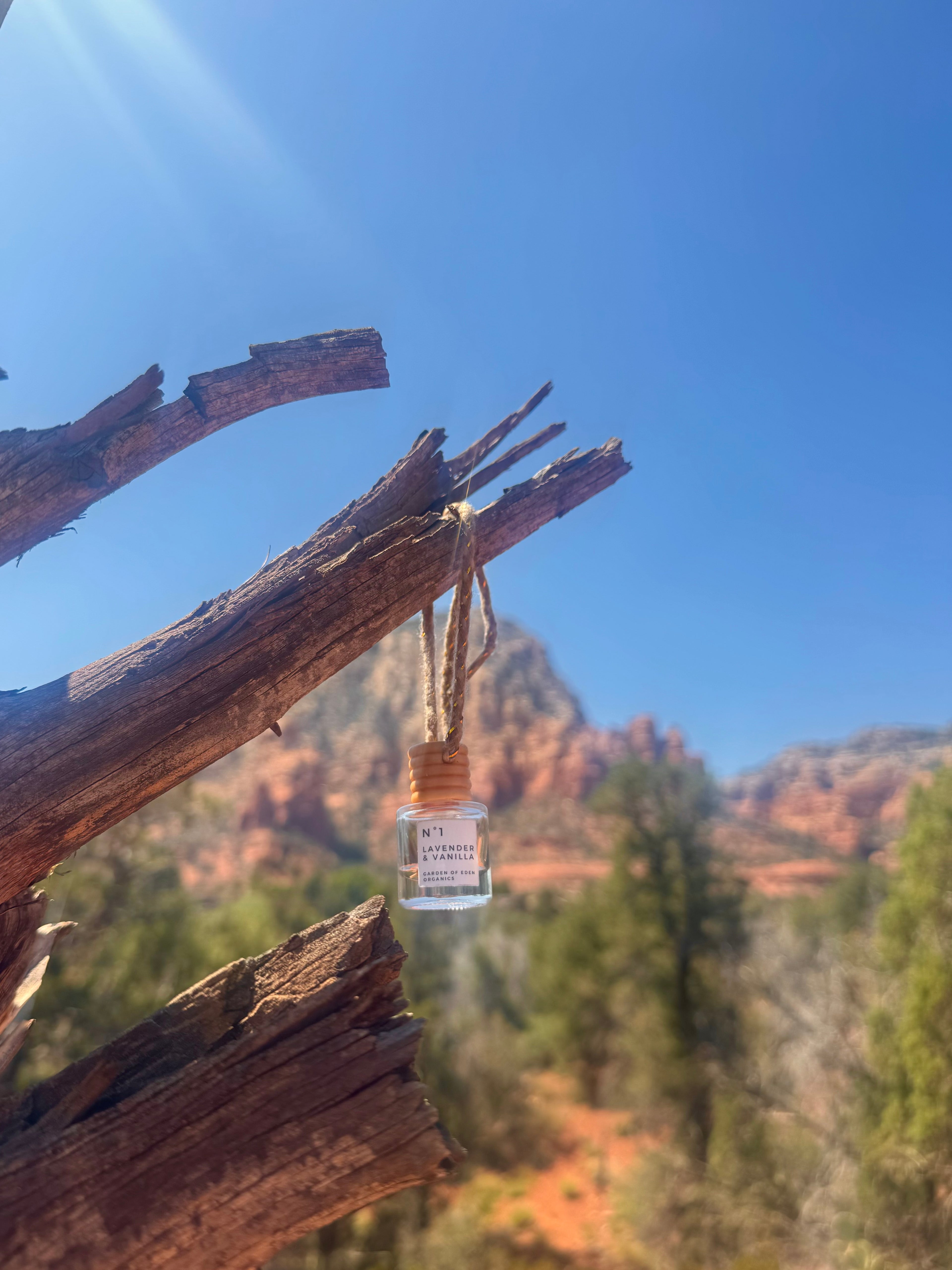 Essential Oil Car Air Freshener